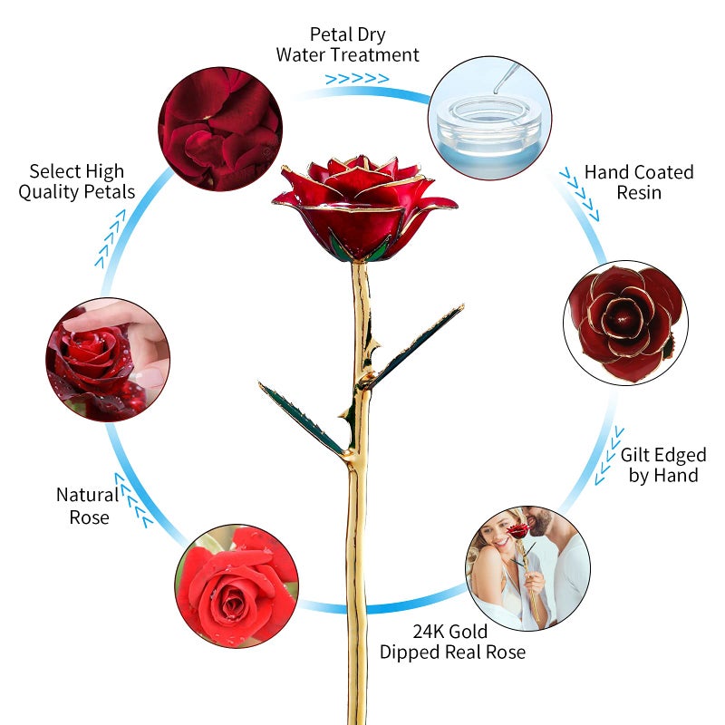 SW Anniversary Birthday Gifts for Women Forever Gold Dipped Rose Christmas Women Gifts 24k Gold Plated Eternal Flower Love Romantic Rose Gifts Box for Anniversary Valentines Day,Mothers Day,Birthday(red) - Image 5